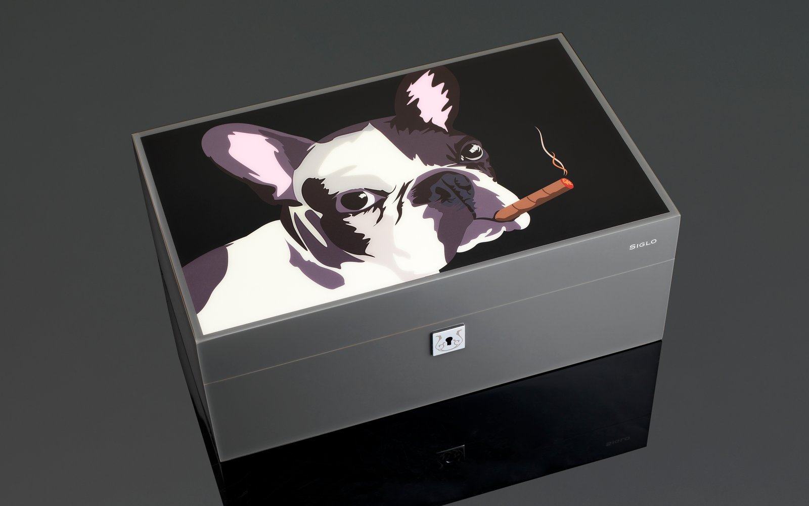 Dog In Black Humidor